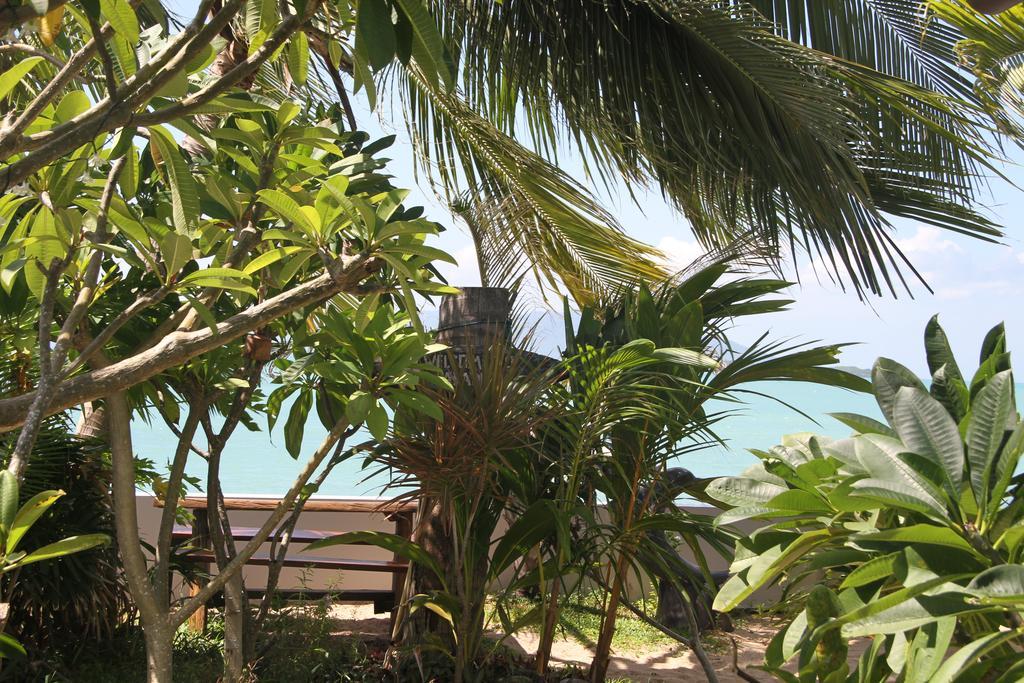 בופוט The Boardroom Beach Bungalows חדר תמונה