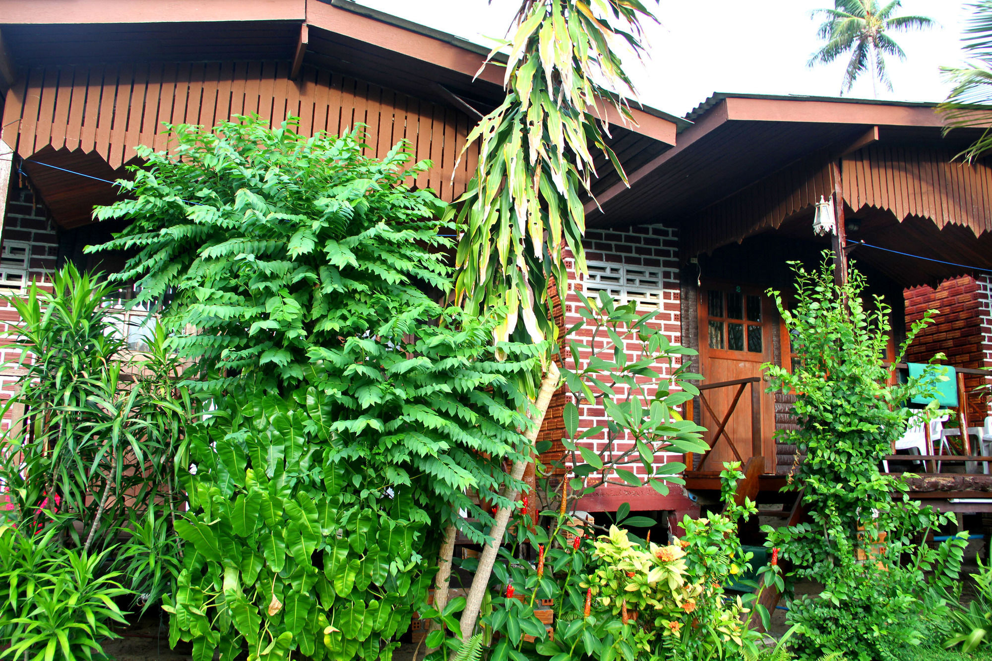 בופוט The Boardroom Beach Bungalows מראה חיצוני תמונה